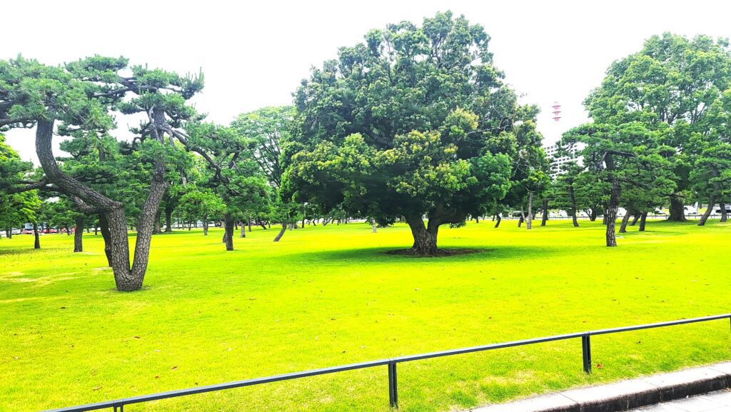 Imperial Palace Garden Tokyo