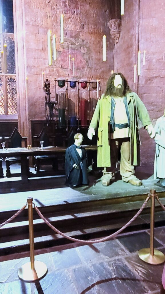 Warner Bros Harry Potter Studio Tour - Hagrid costume
