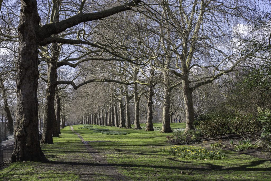 St James Park London